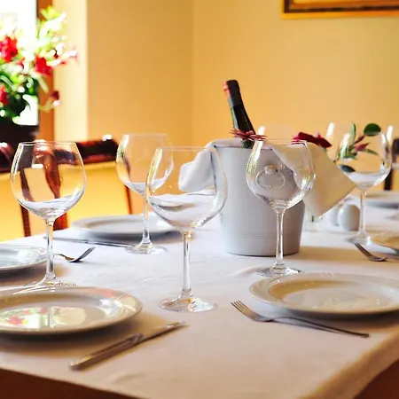 イ アルテ シティセンター ティラナ