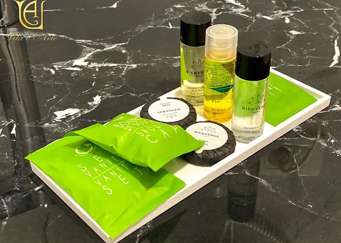 维拉艾普艺城中心酒店 酒店