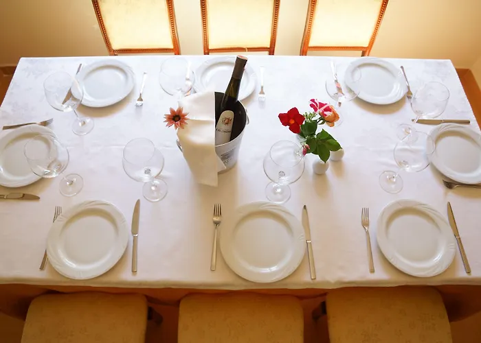 维拉艾普艺城中心酒店 地拉那