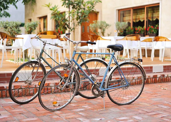 酒店 维拉艾普艺城中心酒店 地拉那