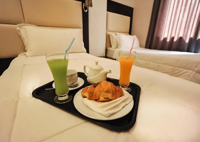 维拉艾普艺城中心酒店 3* 地拉那